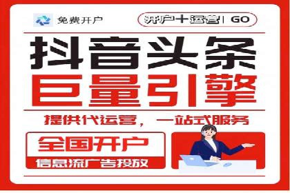 行业领先SEM托管代运营案例